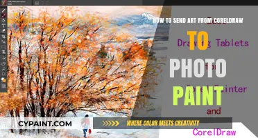 Transfer Art from CorelDRAW to Photo Paint Easily