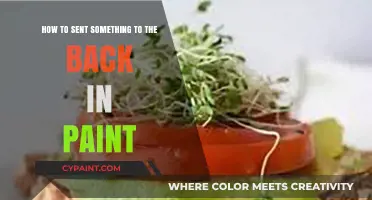 Quick Guide: Sending Items to the Back in Paint
