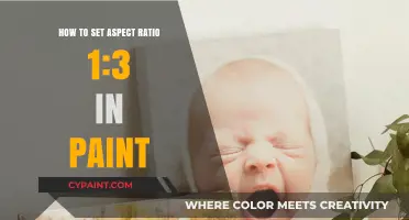 Setting Aspect Ratio in Paint: 1:3 Guide