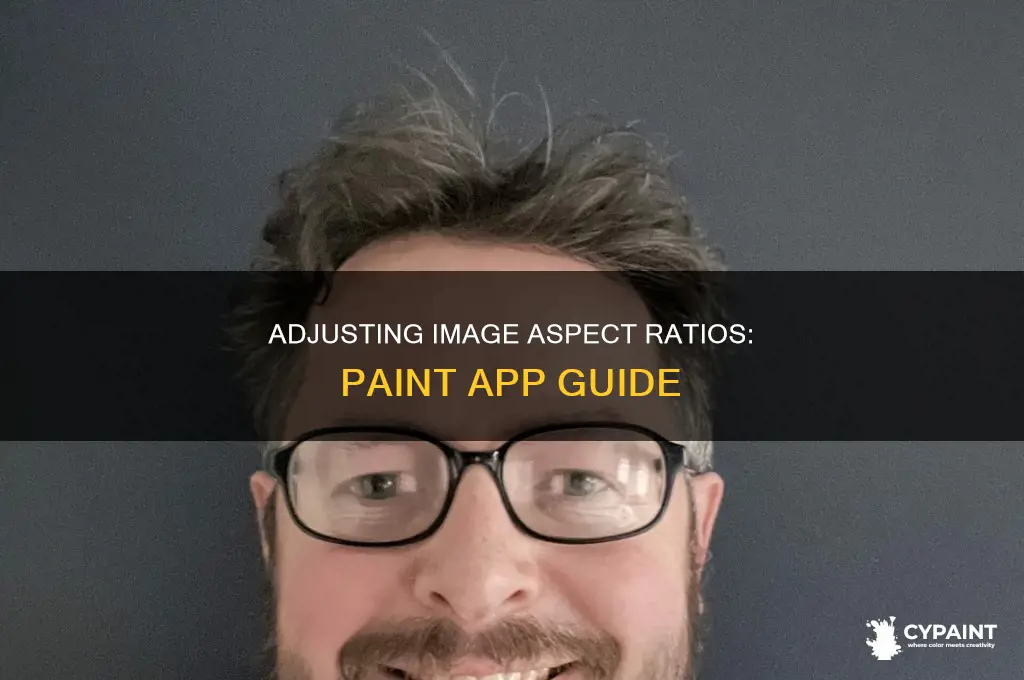 how to set aspect ratio of image in paint