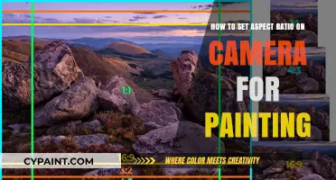 Setting Up Your Camera: Aspect Ratios for Painting
