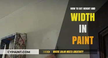 Mastering Paint: Easy Steps to Set Height and Width