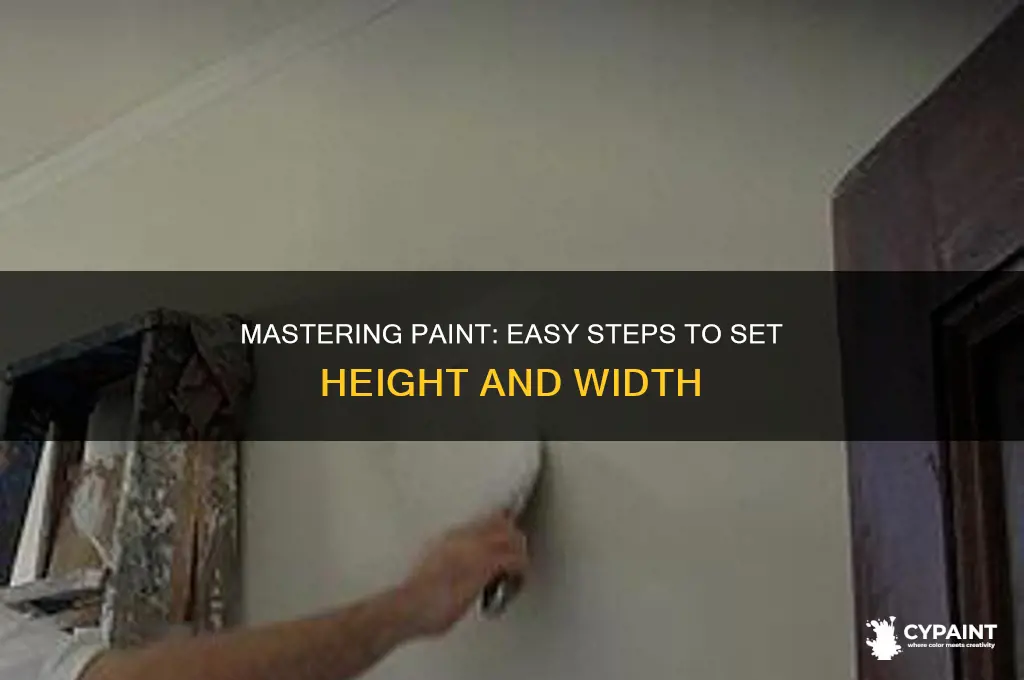 how to set height and width in paint