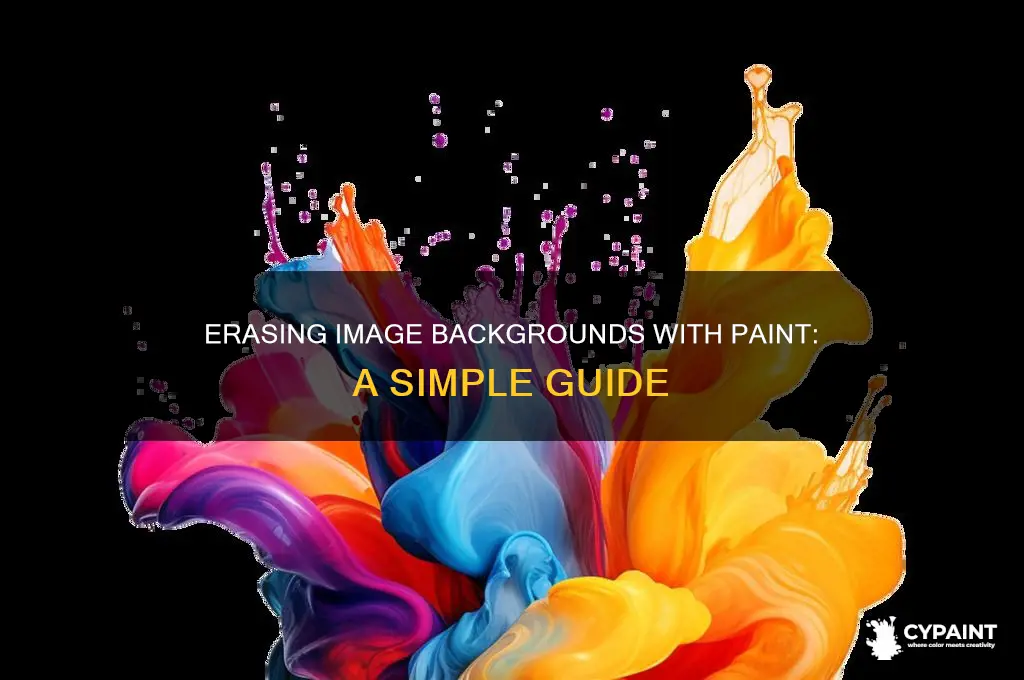 how to set image background as transparent in paint