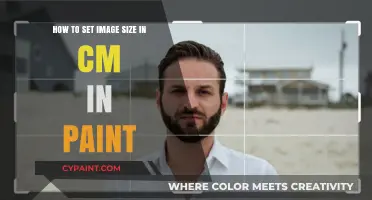 Adjusting Image Size in Paint: CM Control