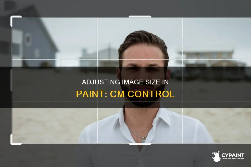 how to set image size in cm in paint