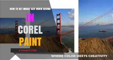 Mastering Image Size: Corel Paint Save Settings Guide