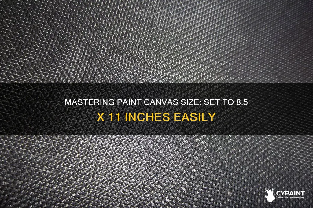 how to set paint size to 81 2 x 11