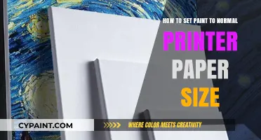 Adjusting Paint for Normal Printer Paper