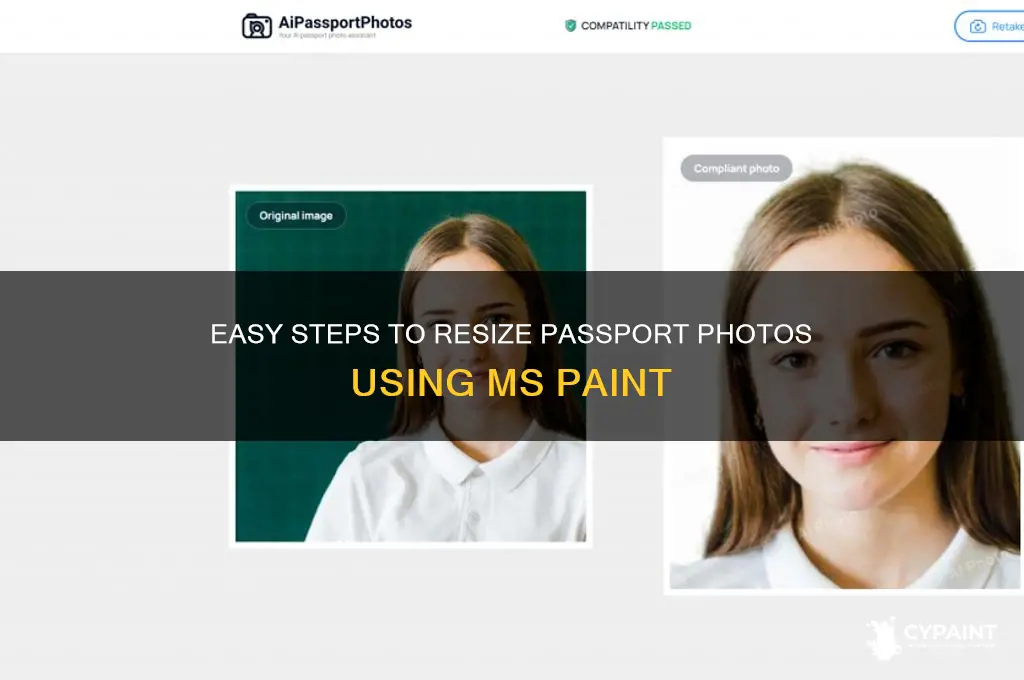 how to set passport size photo in paint