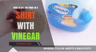 Set Fabric Paint with Vinegar: Easy DIY Shirt Customization Guide