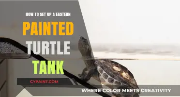 Eastern Painted Turtle: Tank Setup Guide