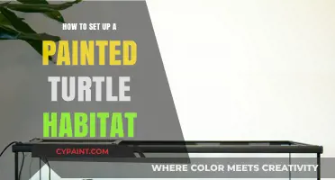 Creating the Perfect Painted Turtle Habitat: A Step-by-Step Guide