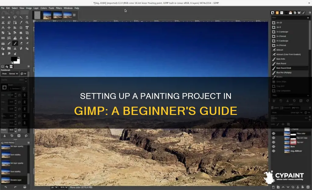 how to set up a painting project in gimp