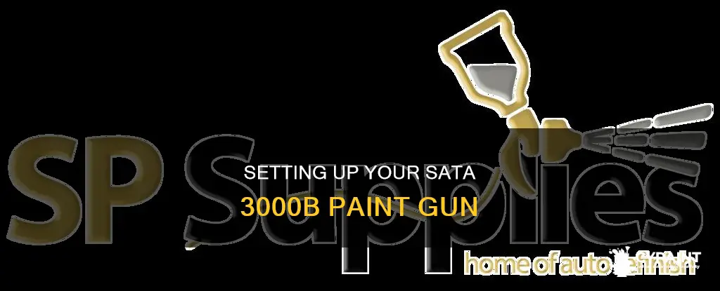how to set up a sata 3000b paint gun