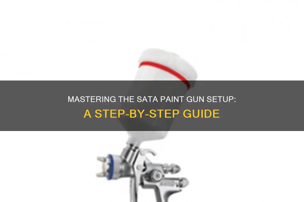 how to set up a sata paint gun