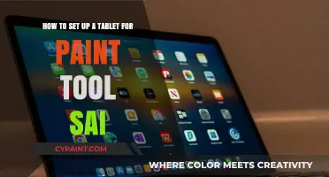 Mastering Digital Art: Setting Up Your Tablet for Paint Tool SAI