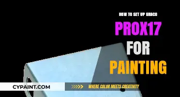 Mastering the Graco ProX17 Setup for Professional Painting Results