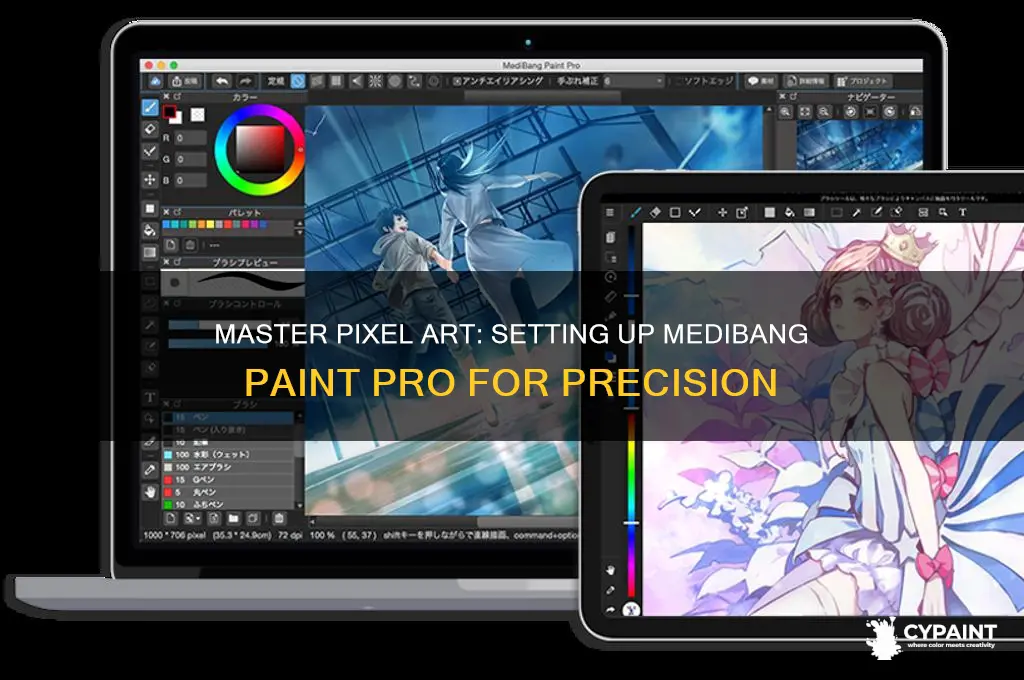 how to set up medibang paint pro for pixel art