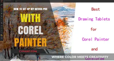 Mastering Digital Art: Setting Up Intuos Pro with Corel Painter