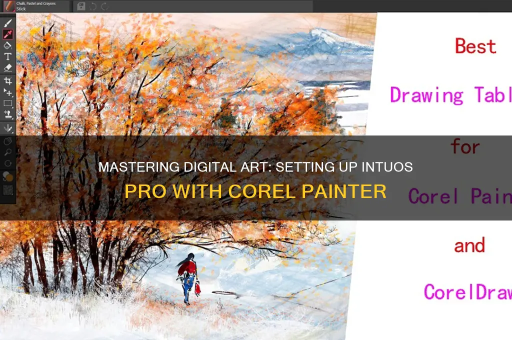how to set up my intous pro with corel painter