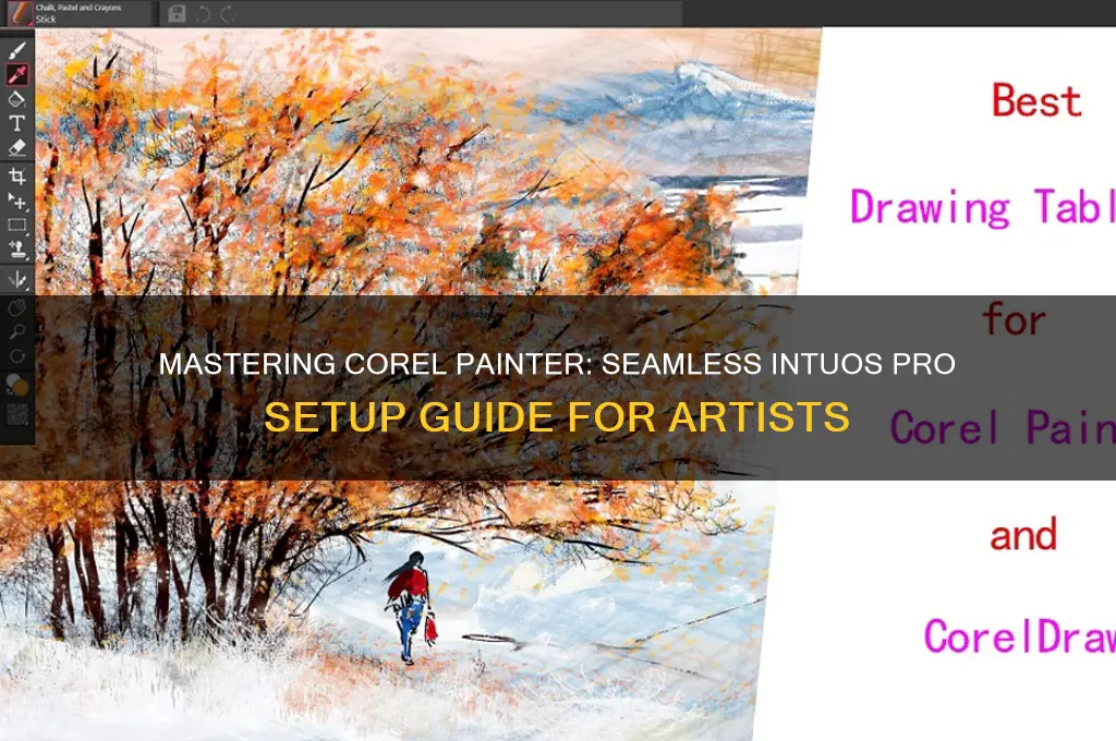how to set up my intuos pro with corel painter