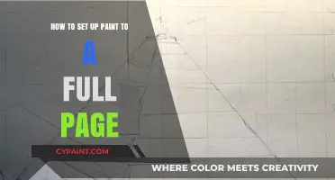 Setting Up Paint for a Full-Page Spread