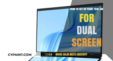 Optimize Your Art Workflow: Dual Screen Setup for Paint Tool SAI