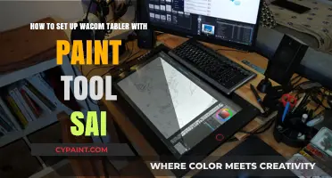 Mastering Digital Art: Wacom Tablet Setup with Paint Tool SAI Guide