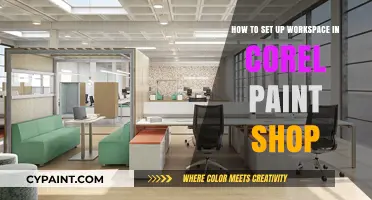 Setting Up Your Workspace in Corel Paint Shop