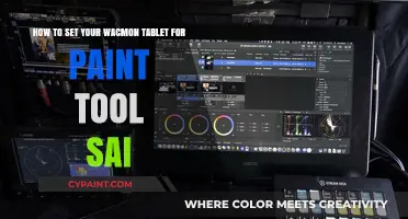Master Paint Tool SAI: Wacmon Tablet Setup Guide for Artists