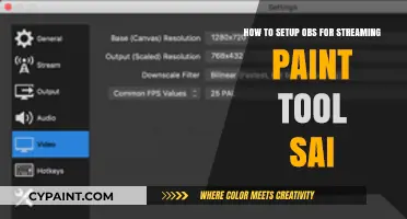 Setting Up OBS for Streaming Paint Tool Sai