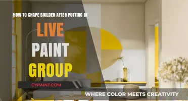 Mastering Live Paint Group: Shaping Builder Techniques for Seamless Design