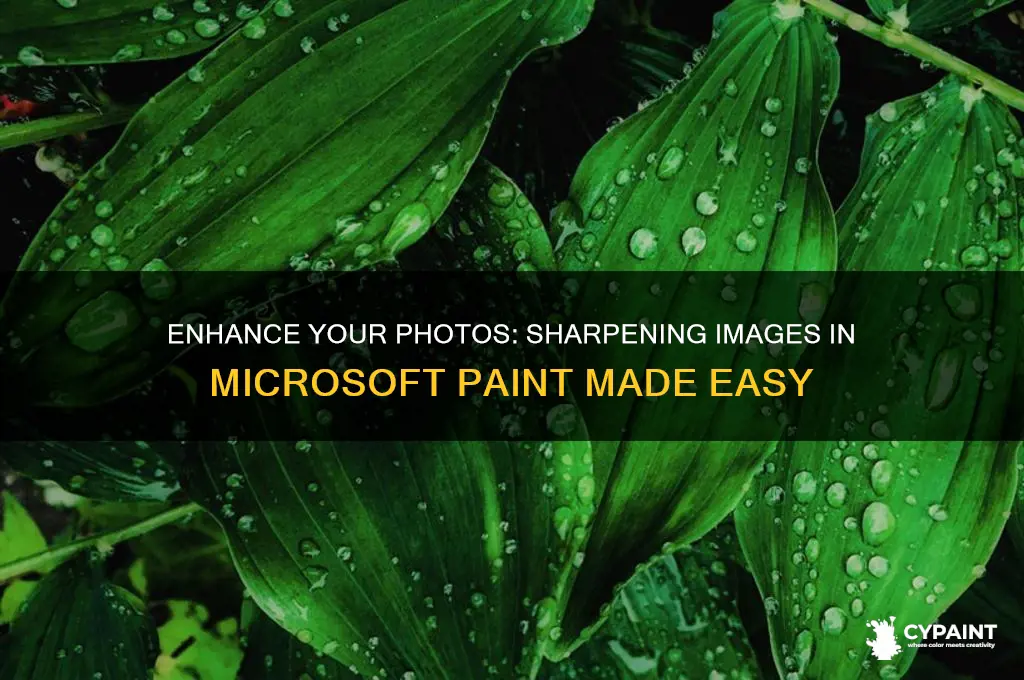 how to sharpen an image in microsoft paint
