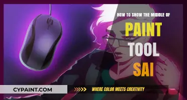 Displaying the Middle of Paint Tool SAI