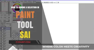 Shrinking Selections in Paint Tool Sai: A Quick Guide
