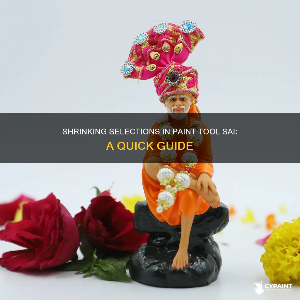how to shrink a selection in paint tool sai