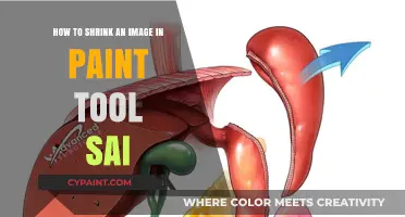 Resizing Images in Paint Tool Sai: A Simple Guide