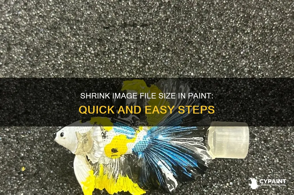 how to shrink image file size in paint
