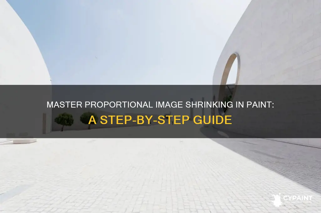 how to shrink in paint with same proportionally