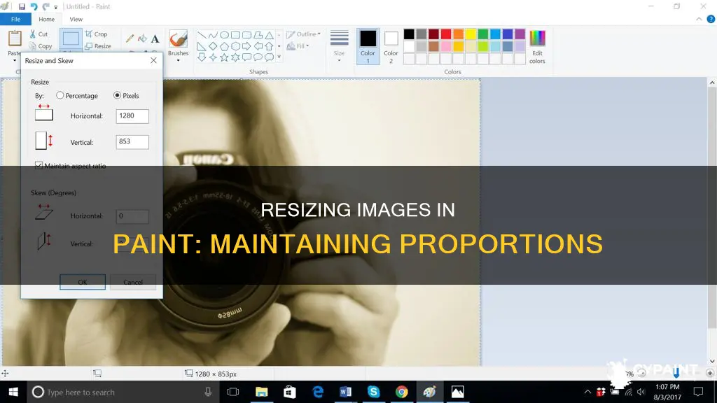 how to shrink something in paint and keep dimensions