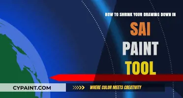 Master SAI Paint Tool: Easy Steps to Shrink Your Drawings