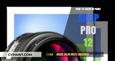 Mastering Skew Transformations in PaintShop Pro 12: A Step-by-Step Guide