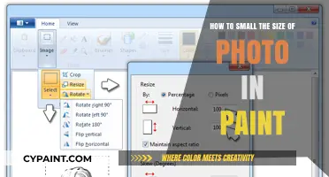 Resizing Photos in Paint: A Quick Guide