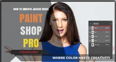 Mastering Smooth Edges: Paint Shop Pro Techniques for Jagged Lines