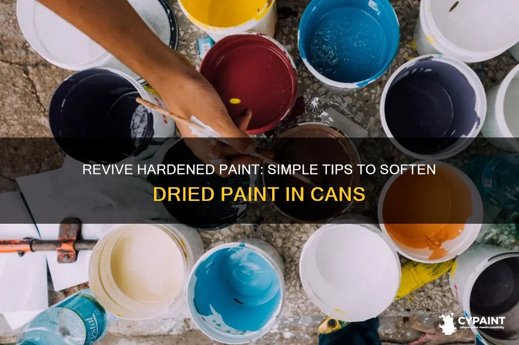 how to soften dried paint in a can