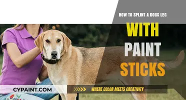 Splinting Your Dog's Leg: Paint Sticks to the Rescue