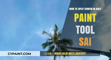 Divide Your Canvas in Two with Paint Tool SAI