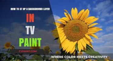 Mastering TVPaint: A Step-by-Step Guide to Setting Up Background Layers