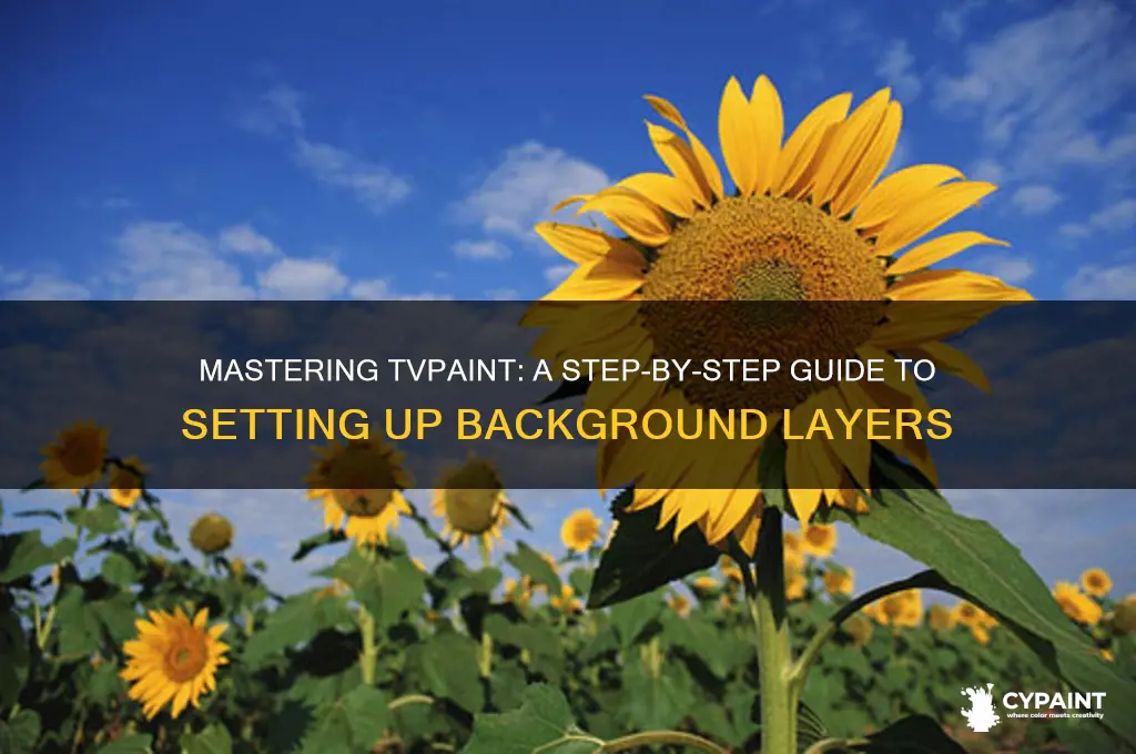 how to st up a background layer in tv paint